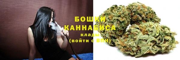 мдпв Гусь-Хрустальный