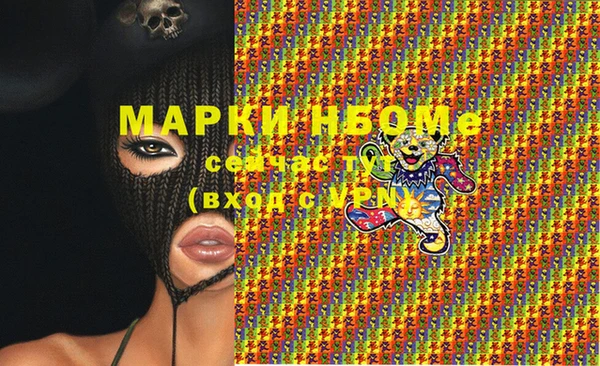 мдпв Гусь-Хрустальный