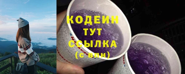 альфа пвп Гусев