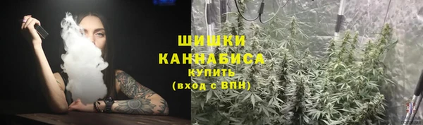 ГАЛЛЮЦИНОГЕННЫЕ ГРИБЫ Семилуки