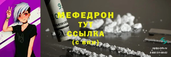 мдпв Гусь-Хрустальный