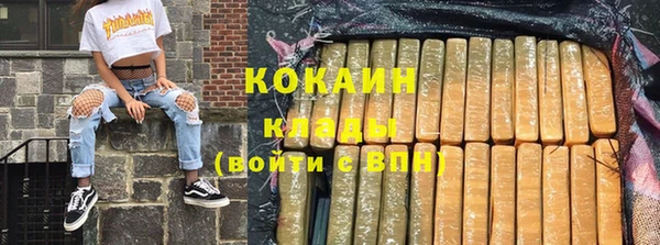 мдпв Гусь-Хрустальный