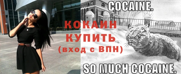 мдпв Гусь-Хрустальный