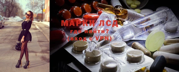 мдпв Гусь-Хрустальный