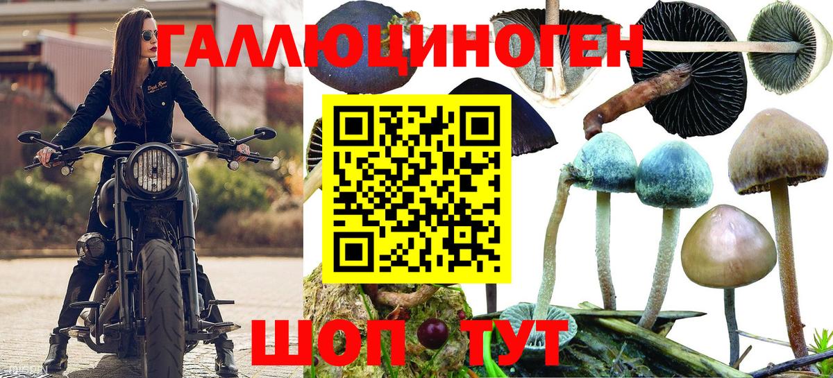 Псилоцибиновые грибы MAGIC MUSHROOMS Спасск-Дальний