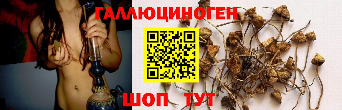 Галлюциногенные грибы Psilocybine cubensis  Вход с VPN  Спасск-Дальний 